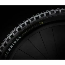 SPECIALIZED Pneu VTT Cannibal Grid Gravity Tubeless T9